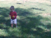 /album/fotogalereya/foto0903-jpg/